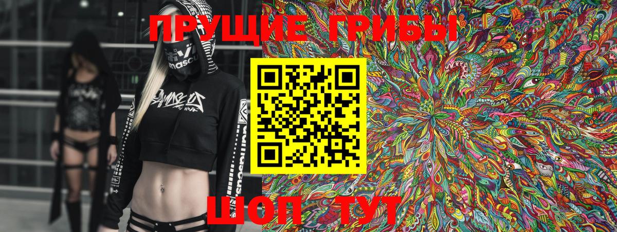 Галлюциногенные грибы GOLDEN TEACHER  где можно купить наркотик  Чистополь  Вход с VPN 